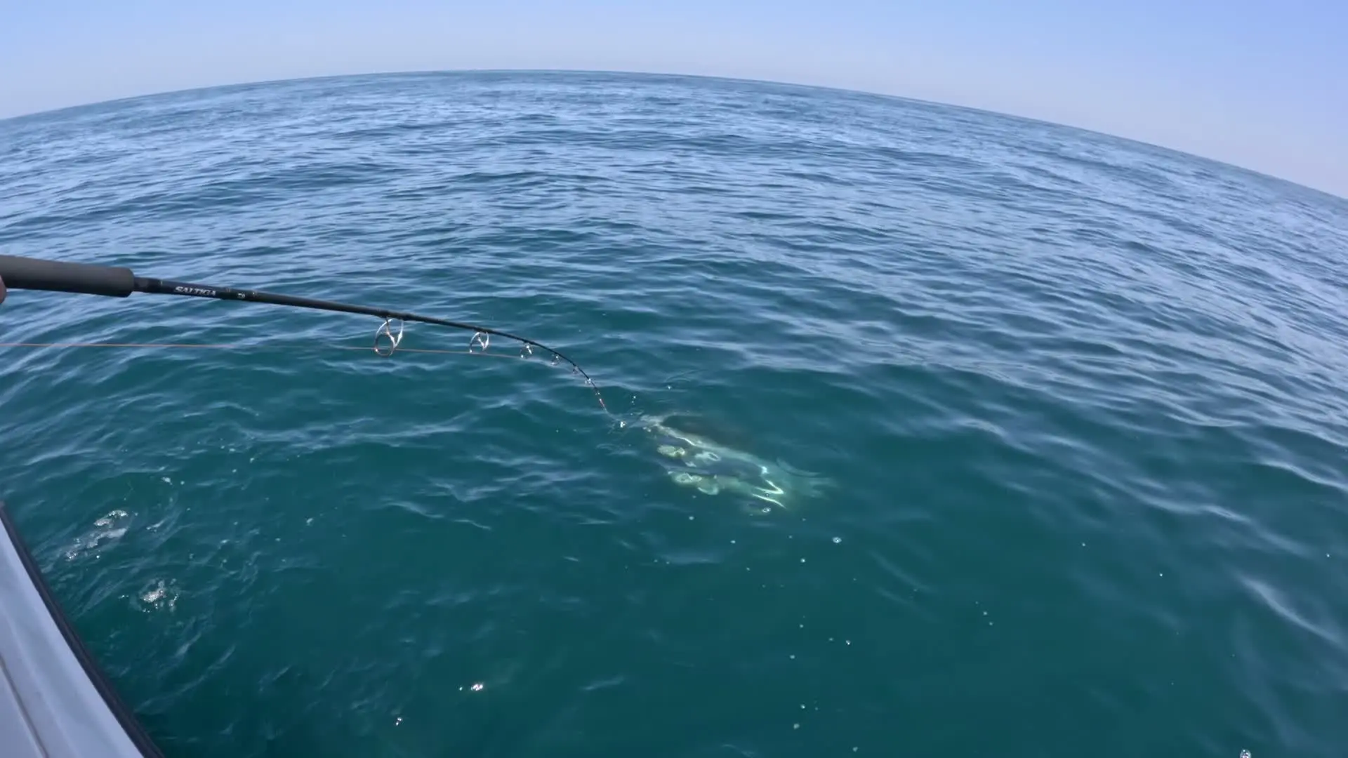 Pêche sportive au Pays Basque